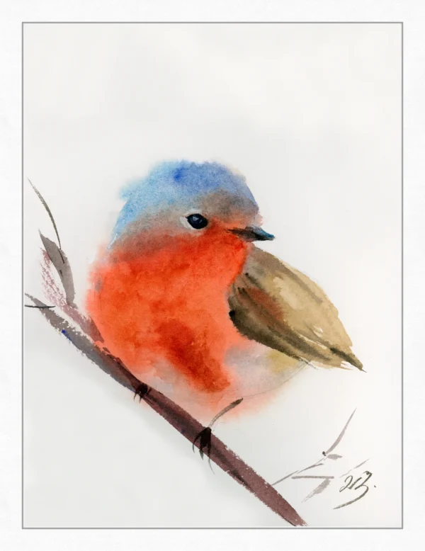 Robin