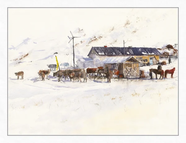 Winter Grazing
